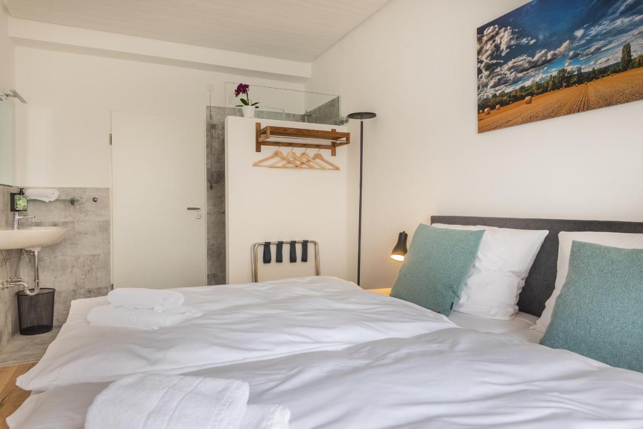 Hotel Clement - Bed & Breakfast Ingelheim am Rhein Exterior photo