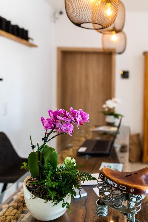 Hotel Clement - Bed & Breakfast Ingelheim am Rhein Exterior photo